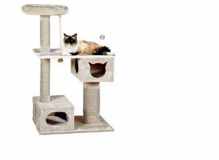 Cats & Kittens Scratching Tower, Towers Canberra ACT Australia