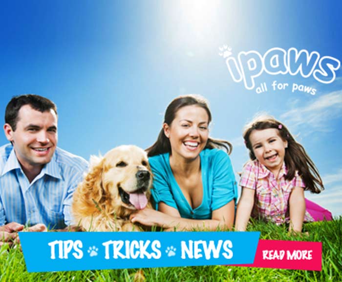 Pet Products & Supplies Online Melbourne VIC - Fitzroy, Brunswick, Essendon, Carlton