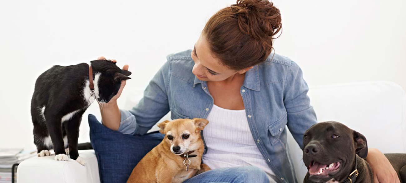 Pet Supplies Brisbane QLD Australia | Ipswich, Gold Coast, Sunshine, Fortitude Valley