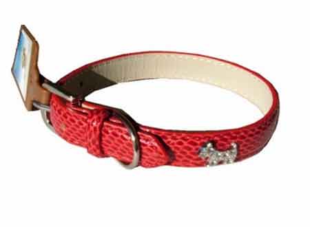 Dog Collar Sydney NSW, Melbourne, Perth, Brisbane